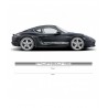 Seitenstreifen Aufkleber Replik Porsche 2 colours