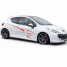 Vinilo para peugeot  207