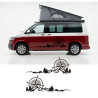 Vinilo camper