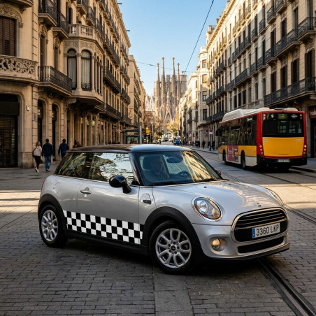 Adhesivos laterales para mini bandera racing