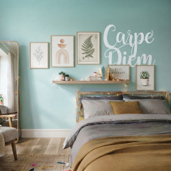 Vinilo decorativo para pared Carpe diem