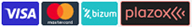 Visa, Mastercard, Bizum y Plazo